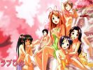 lovehina 11 1024   660  (lovehina 11 1024   ( Anime Wallpapers Love Hina  ) 660 )